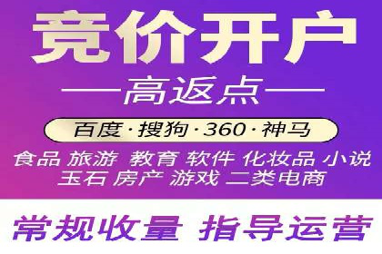 竞价排名在搜索引擎营销中的运用案例