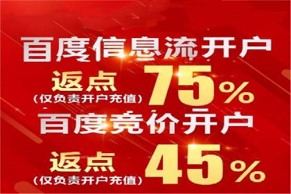 百度竞价赚钱秘诀：实战案例分析